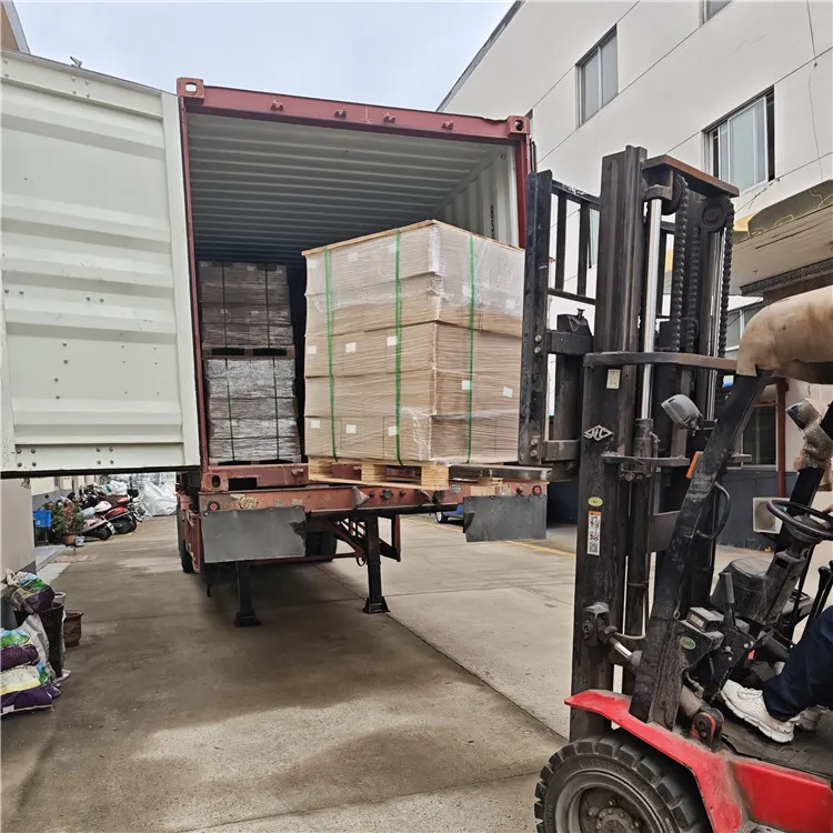 Do Egypta jsme poslali 30 000 sad bezpečnostních pásů